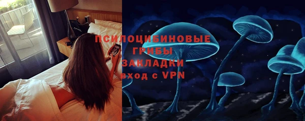 бутират Бородино
