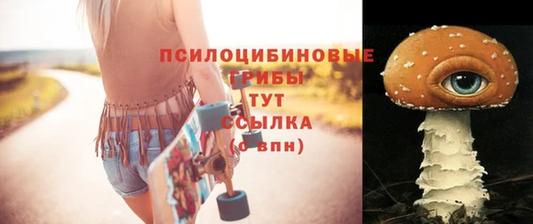 молекула духа Снежногорск