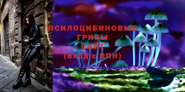 метадон Бронницы