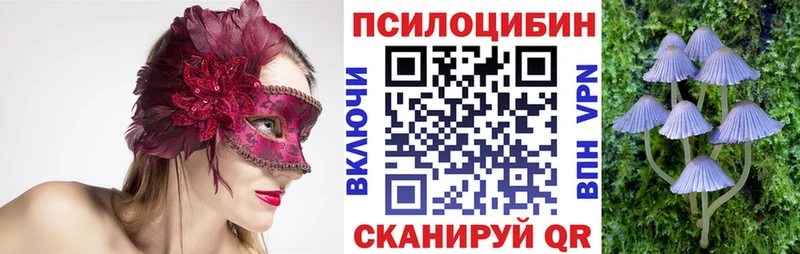 OMG маркетплейс Клин Псилоцибиновые грибы Magic Shrooms