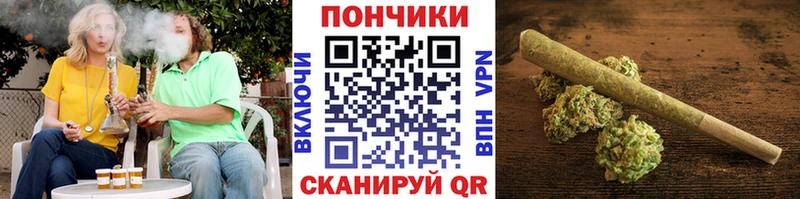 Конопля план  МЕГА ONION  Клин 